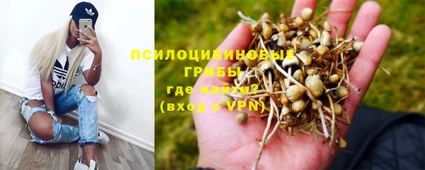 первитин Покровск