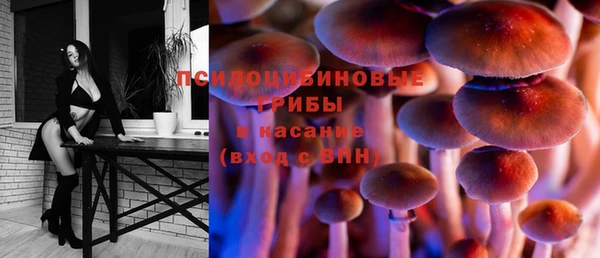 дмт Покров